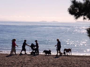  Browns bay early morning